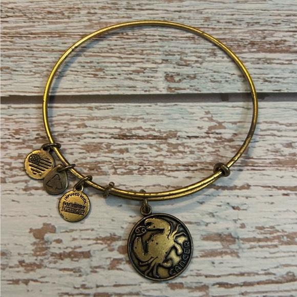 Alex and Ani Jewelry - Alex and Ani Cancer Zodiac Crab Bangle Bracelet